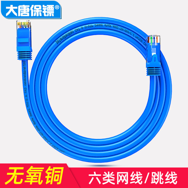 datangbg 大唐保镖 六类网线 千兆网络线CAT6跳线双绞线电脑成品网线无氧铜