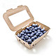 现摘 蓝莓 125g*12盒  单果12-15mm
