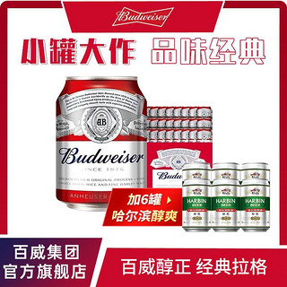 Budweiser 百威 啤酒红罐经典啤酒整箱255ml*24听罐装黄啤哈尔滨醇爽330ml*6