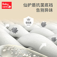 babycare 孕妇内裤孕早期中晚期专用纯棉大码