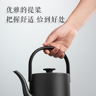 maxwin提梁电热水壶功夫茶烧水壶泡茶专用汀壶家用煮开水小型长嘴