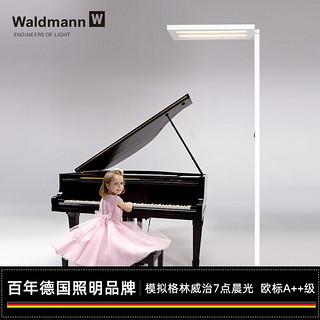 Waldmann 沃达迈 德国沃达迈儿童护眼台灯 学生钢琴学习书桌阅读专用落地LED大路灯 CIDOO4000K暖白光