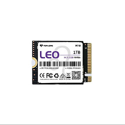 TOPMORE 达墨 Leo 狮子座 NVMe M.2固态硬盘 1TB（PCIe 4.0）