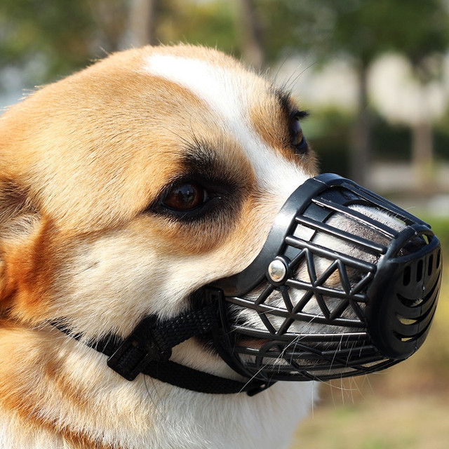 Dogstory 狗嘴套宠物口罩中大型犬通用防咬保护套德牧金毛柯基泰迪 黑色 S+（适合10斤狗狗）