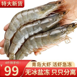 特大无冰 青岛大虾   4斤装 30-40规格 16-18CM