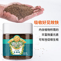 Dirt Devil 德沃 多 强力生根粉500g