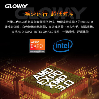 光威(Gloway) 32GB (16GBX2) 套装 DDR5 6000 台式机内存 天策Ⅱ代系列 CL30 RGB 海力士 Adie