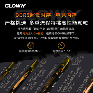 光威(Gloway) 32GB (16GBX2) 套装 DDR5 6000 台式机内存 天策Ⅱ代系列 CL30 RGB 海力士 Adie