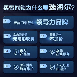 Haier 海尔 SV21指纹锁3D人脸识别智能锁入户门防盗门锁全自动可视猫眼智能电子门锁密码锁 先咨询再下单-仅霸王锁体适配