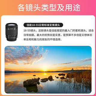 佳能（Canon） EOS 90D 中端单反相机 家用旅游单反相机4K高清视频90D 佳能90D+18-135 STM中长焦镜头（优选） 高级套餐(128G卡+电池+相机包+三脚架)