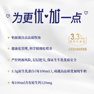 Bright 光明 3.3g乳蛋白纯牛奶 250ml*12盒