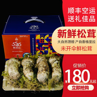 森吉尼达 香格里拉新鲜松茸 未开伞5-5.5cm  500g松茸尝鲜装