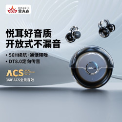 雷克森 Riksoin雷克森蓝牙耳机真无线耳夹式不入耳运动跑步开放式长续航适用华为苹果非骨传导