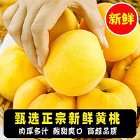 万悠 正宗纯甜大黄桃新鲜水果4.7斤爆甜黄毛脆软黄金蜜锦绣黄桃水蜜桃