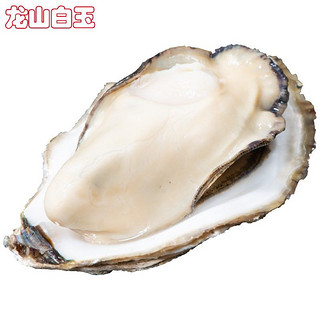 LONGSHAN OYSTERS 龙山白玉 鲜活山东海阳生蚝  3XL号 2.5kg 12-16只装