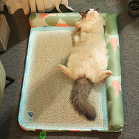 mdeho 麦德豪 宠物猫咪凉席垫夏天降温猫窝垫子睡觉用四季通用狗狗冰垫夏季睡垫