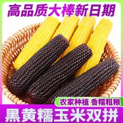 欣鲜乐糯玉米4支单果240g