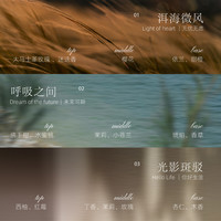 艾玛莫莉车载香薰香囊高档出风口车夹车挂除异味香氛汽车香水