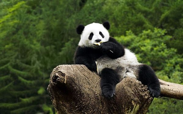 289元/晚起!携程919年度大促10大爆款!三亚/杭州/长沙/六安/绍兴/象山/千岛湖/安吉等