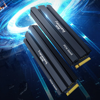 FANXIANG 梵想 S900 PRO NVMe M.2 SSD固态硬盘 1TB（PCI-E 5.0）