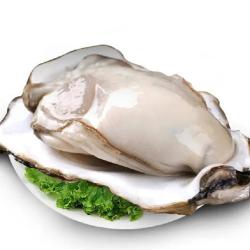鲁禧 乳山大生蚝鲜活 6XL 净重4.5斤