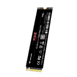 TOPMORE 达墨 Merak天璇 NVMe M.2 固态硬盘 1TB（PCIe3.0）