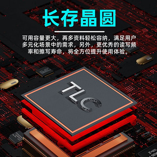 TOPMORE 达墨 天璇 NVMe M.2 固态硬盘 1TB（PCI-E3.0）