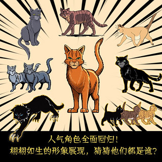 HUNAN JUVENILE&CHILDREN'S PUBLISHING HOUSE 湖南少年儿童出版社 《猫武士：第二辑》（套装10册）