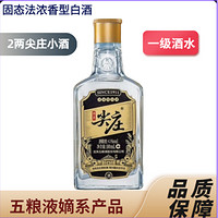 WULIANGYE 五粮液 股份出品 尖庄 小酒版 浓香型白酒 小瓶装 纯粮酒42度100ml