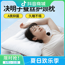 Jialisi 佳丽斯 枕头决明子枕头枕芯一对装头枕成人护颈枕颈椎专用枕助睡眠