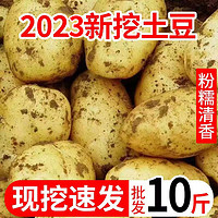 京营 2023年新鲜黄皮黄心大土豆农家10斤自种当季蔬菜洋芋马铃薯  大土豆10斤装