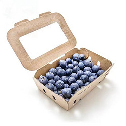 abay 新鲜蓝莓 125g*4盒  大果15-18mm