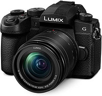 Panasonic 松下 LUMIX G95D 2030 万像素无反相机,12-60 毫米 F3.5-5.6