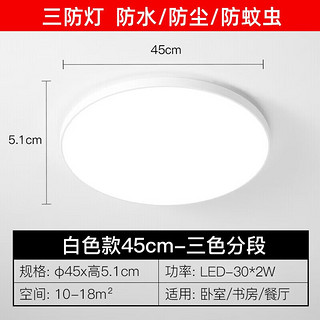 ARROW箭牌照明 吸顶卧室灯客厅灯阳台过道餐厅现代简约灯饰 白玉60W三色45cm适18平内