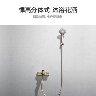 HIGOLD 悍高 820418 两功能简约淋浴套装
