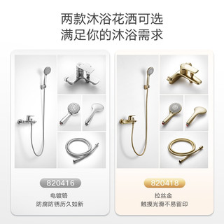 HIGOLD 悍高 820418 两功能简约淋浴套装