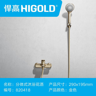 HIGOLD 悍高 820418 两功能简约淋浴套装