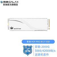 影驰 （Galaxy）HOF名人堂 SSD固态硬盘 M.2接口NVMe协议 PCI-E4.0硬盘 HOF PRO 30 2T