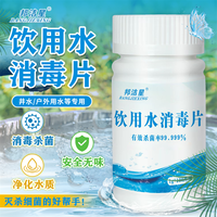 邦洁星饮用水消毒泡腾片户外用水二次供水杀菌灾后杀红线虫消毒片食品级 1瓶饮用水消毒片