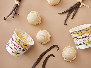 哈根达斯 冰淇淋雪糕香草味 392g