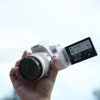 佳能（Canon） EOS 200Dii 200d二代 单反相机入门级200d2 vlog相机 200d二代 (18-55）白色套餐四