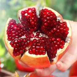 【省75元】突尼斯软籽石榴其他水果_oimg 突尼斯软籽石榴 精选大果