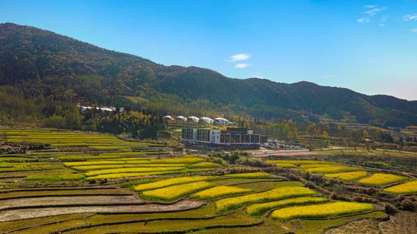 关麓山上高颜值酒店,住65m²大房型!黄山关麓帐篷客酒店 景观大床房2晚连住套餐(含双早+欢迎水果+自行车骑行等)