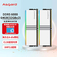 Asgard 阿斯加特 64GB(32Gx2)套 DDR5 6000频