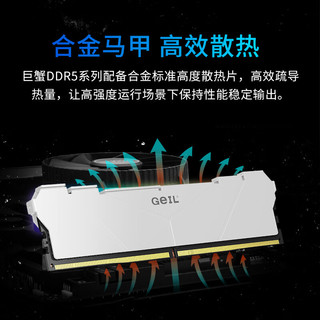 GeIL 金邦 巨蟹战甲系列 DDR5 6400MHz 台式机内存 马甲条 白色 32GB 16GB*2