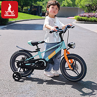 PHOENIX 凤凰 儿童自行车2-5-6-7岁宝宝脚踏车男女孩4-8岁轻便中大童车