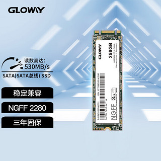 GLOWAY 光威 256GB SSD固态硬盘 M.2接口 SATA总线 NGFF 2280