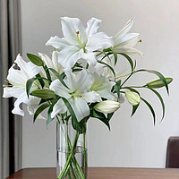 抖音超值购：A级多头单瓣白色系百合礼盒装 新鲜百合花优质云南鲜花