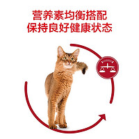 ROYAL CANIN 皇家 F32成猫粮 10kg