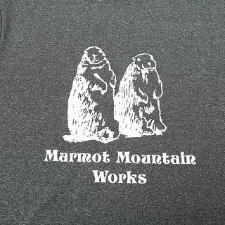 Marmot 土拨鼠 2023春夏新款户外运动轻柔软棉感速干短袖T恤男 深石南蓝8550 XL 欧码偏大